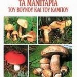 Τα μανιτάρια του βουνού και του κάμπου