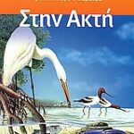 Στην Ακτή Έτοιμος Να Διαβάσω: Πρωταθλητές Στο Διάβασμα